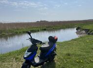 Grajewo ogłoszenia: Sprzedam skuter 50 Torq jak nowy z małym przebiegiem 2.200 km  z... - zdjęcie